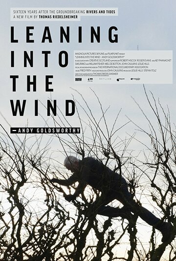 Leaning Into the Wind: Andy Goldsworthy (2017)